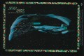 Star Trek Vending Romulan Warbird