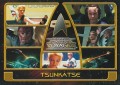 The Complete Star Trek Voyager Trading Card 142