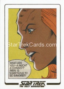 Star Trek The Next Generation Portfolio Prints Series One Trading Card AC33