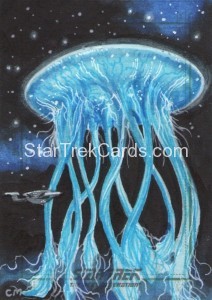 Star Trek The Next Generation Portfolio Prints Series One Trading Card Sketch Chris Meeks Alternate