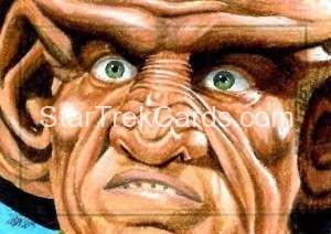 Star Trek The Next Generation Portfolio Prints Series One Trading Card Sketch Kristin Allen