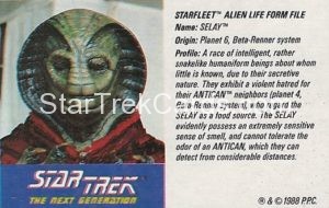 Star Trek The Next Generation Action Figure Cards Galoob Selay