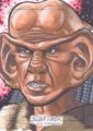 Star Trek The Next Generation Portfolio Prints Series Two Trading Card Sketch Nathan Nelson Front