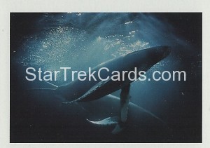 Star Trek IV The Voyage Home FTCC Trading Card 42