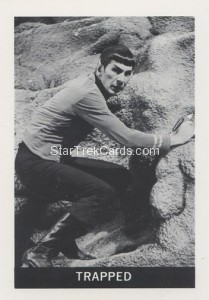 Star Trek Leaf Reprint Card 41
