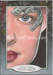 Star Trek Voyager Heroes Villains Sketch Michael James Front